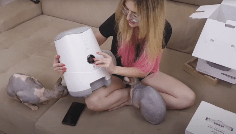 Cansei da Rotina – Você Sabe O Que Os Seus Pets Fazem Quando Você Não Esta em Casa ?